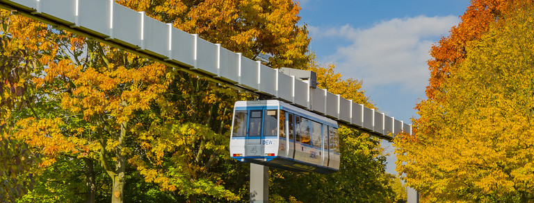 H-Bahn und Bäume mit bunten Blättern im Herbst